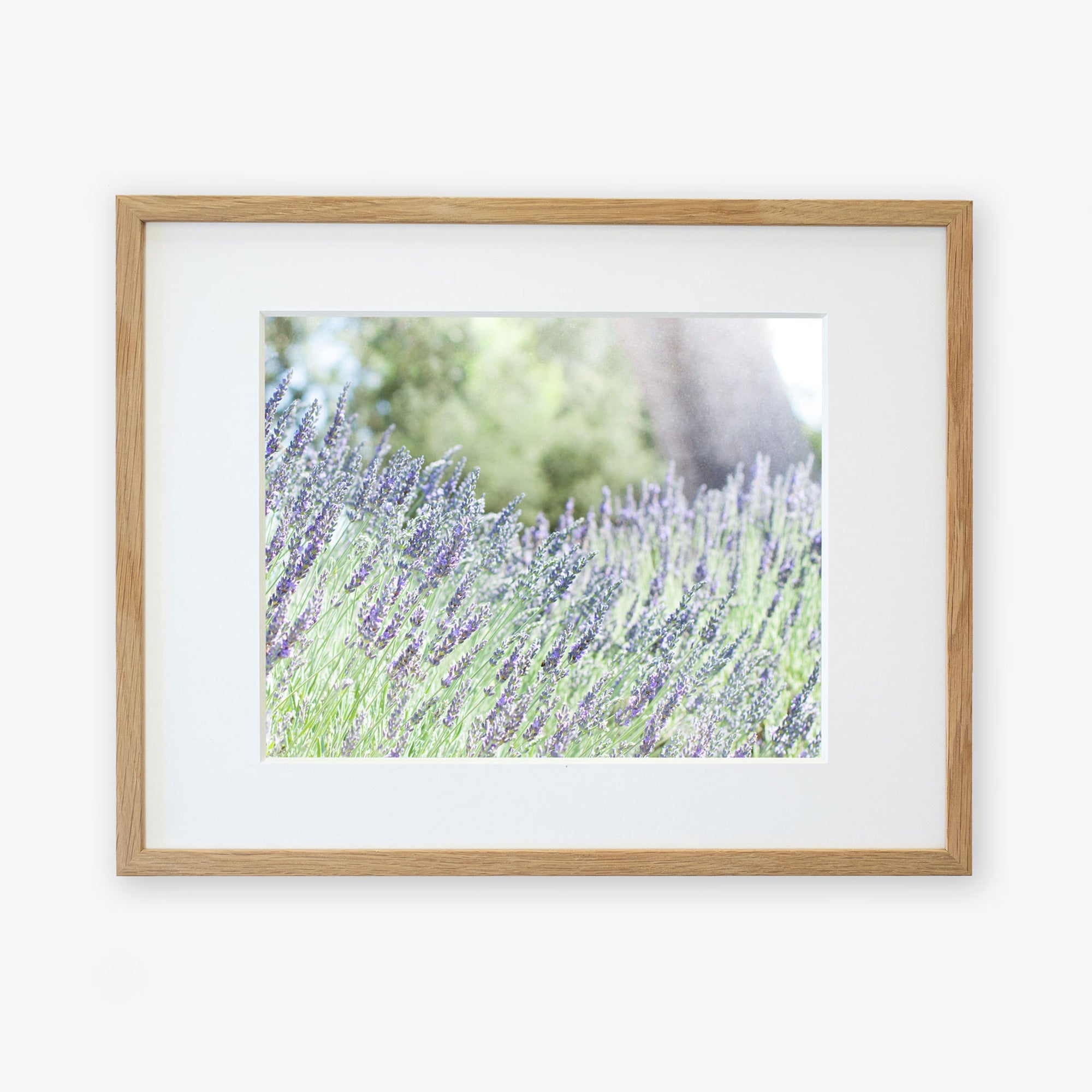 Lavender Love 16X20 shops