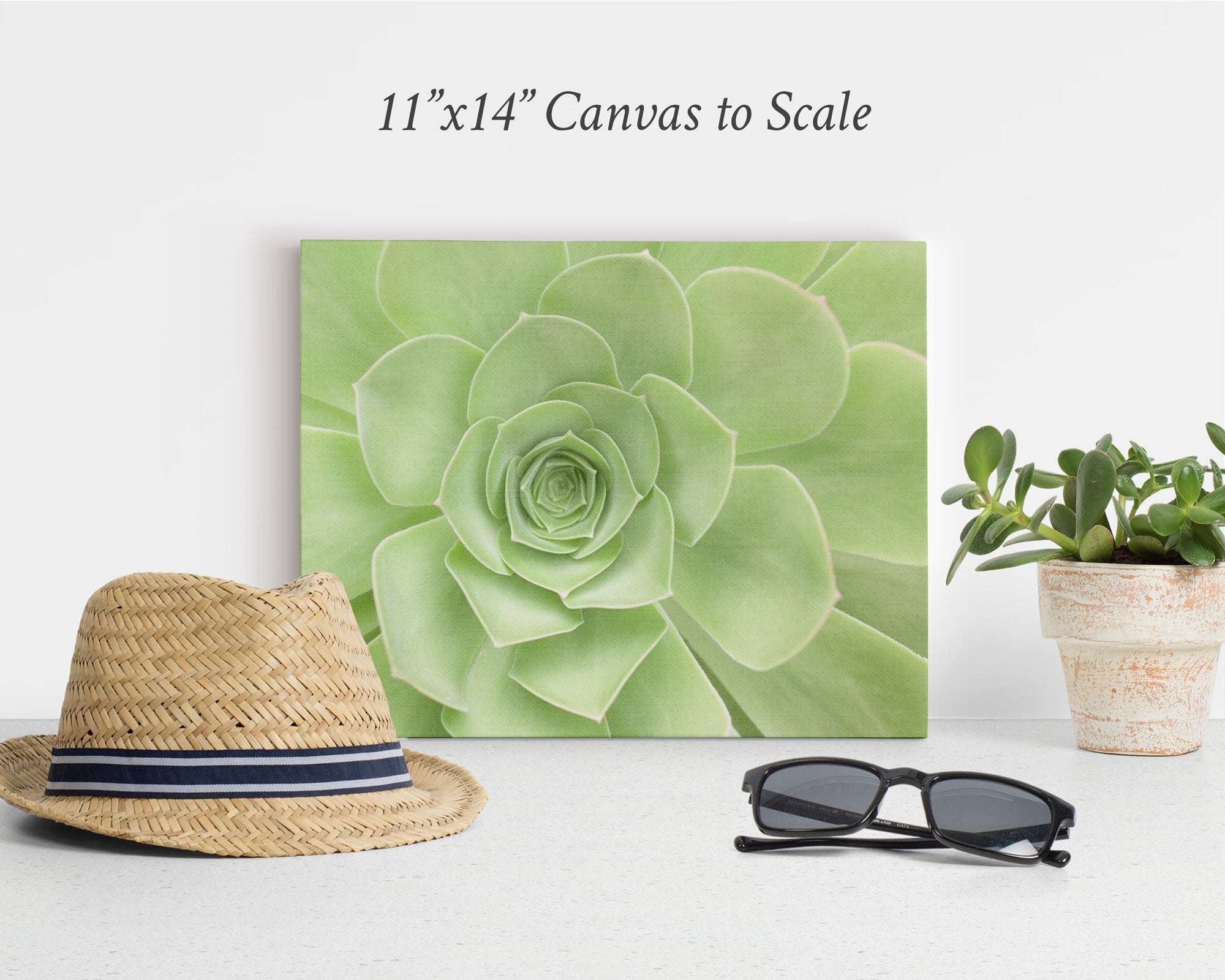 A straw hat, a pair of black sunglasses, and a potted succulent are placed beside an elegant Offley Green 11x14 Botanical Canvas Print (Choose from 10+ Designs) featuring a large green succulent. The text above the canvas reads &quot;11&quot;x14&quot; Canvas to Scale.&quot; These botanical prints are set against a plain white background.