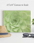 A straw hat, a pair of black sunglasses, and a potted succulent are placed beside an elegant Offley Green 11x14 Botanical Canvas Print (Choose from 10+ Designs) featuring a large green succulent. The text above the canvas reads "11"x14" Canvas to Scale." These botanical prints are set against a plain white background.