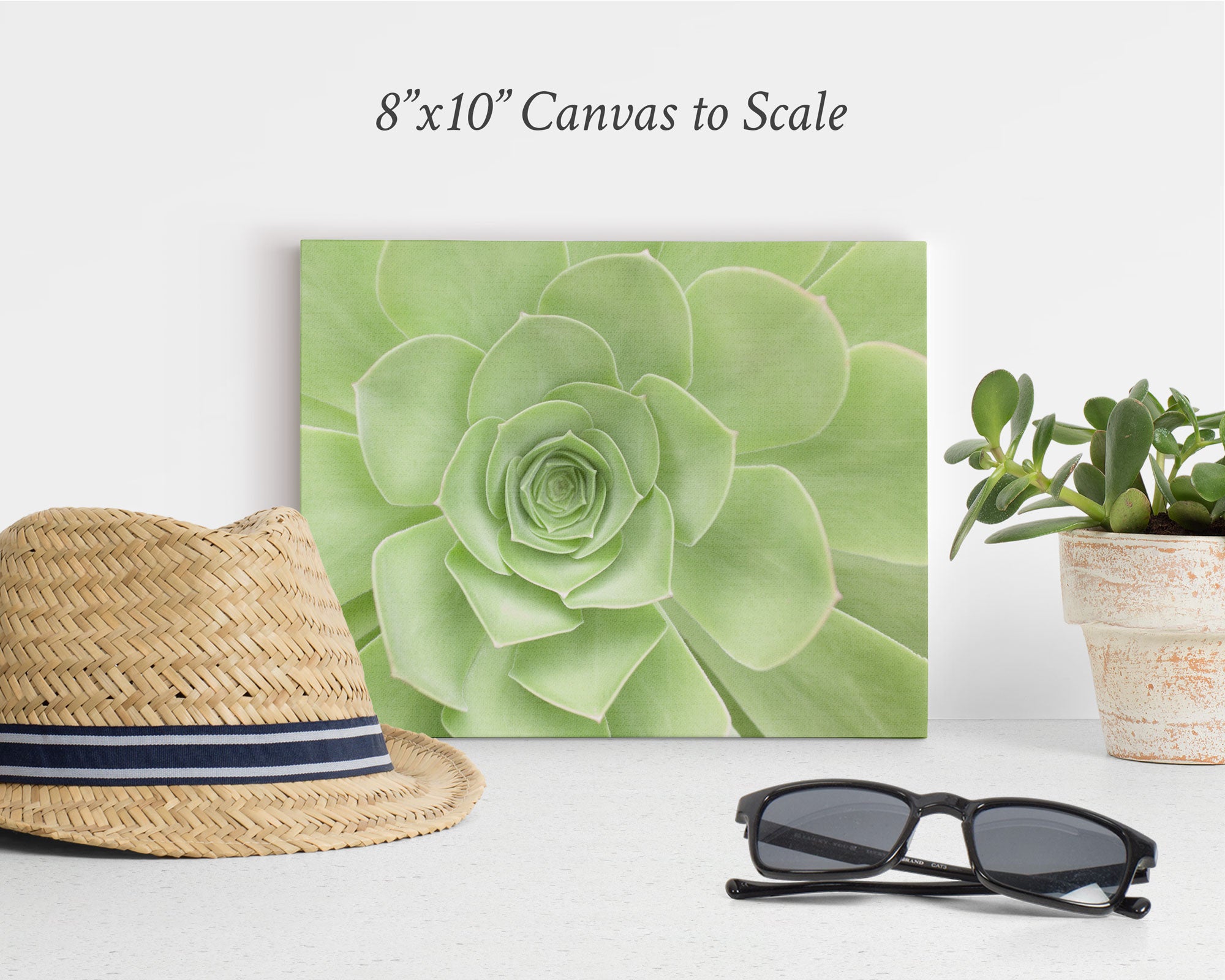 A light green botanical print on canvas, measuring 8&quot;x10&quot;, is displayed against a white background. To the left is a straw hat with a dark ribbon, and to the right is a small potted plant. Black sunglasses rest on the surface in front of this elegant, **Offley Green 8x10 Botanical Canvas Print (Choose from 10+ Designs)**.