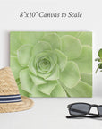 A light green botanical print on canvas, measuring 8"x10", is displayed against a white background. To the left is a straw hat with a dark ribbon, and to the right is a small potted plant. Black sunglasses rest on the surface in front of this elegant, **Offley Green 8x10 Botanical Canvas Print (Choose from 10+ Designs)**.