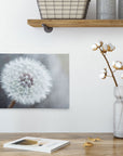 A minimalist interior features a wooden shelf with metal baskets and containers. Below it, a white vase with cotton branches is placed on a wooden surface, accompanied by a metal jar and an open book. An 8x10 Botanical Canvas Print (Choose from 10+ Designs) by Offley Green is mounted on the wall.