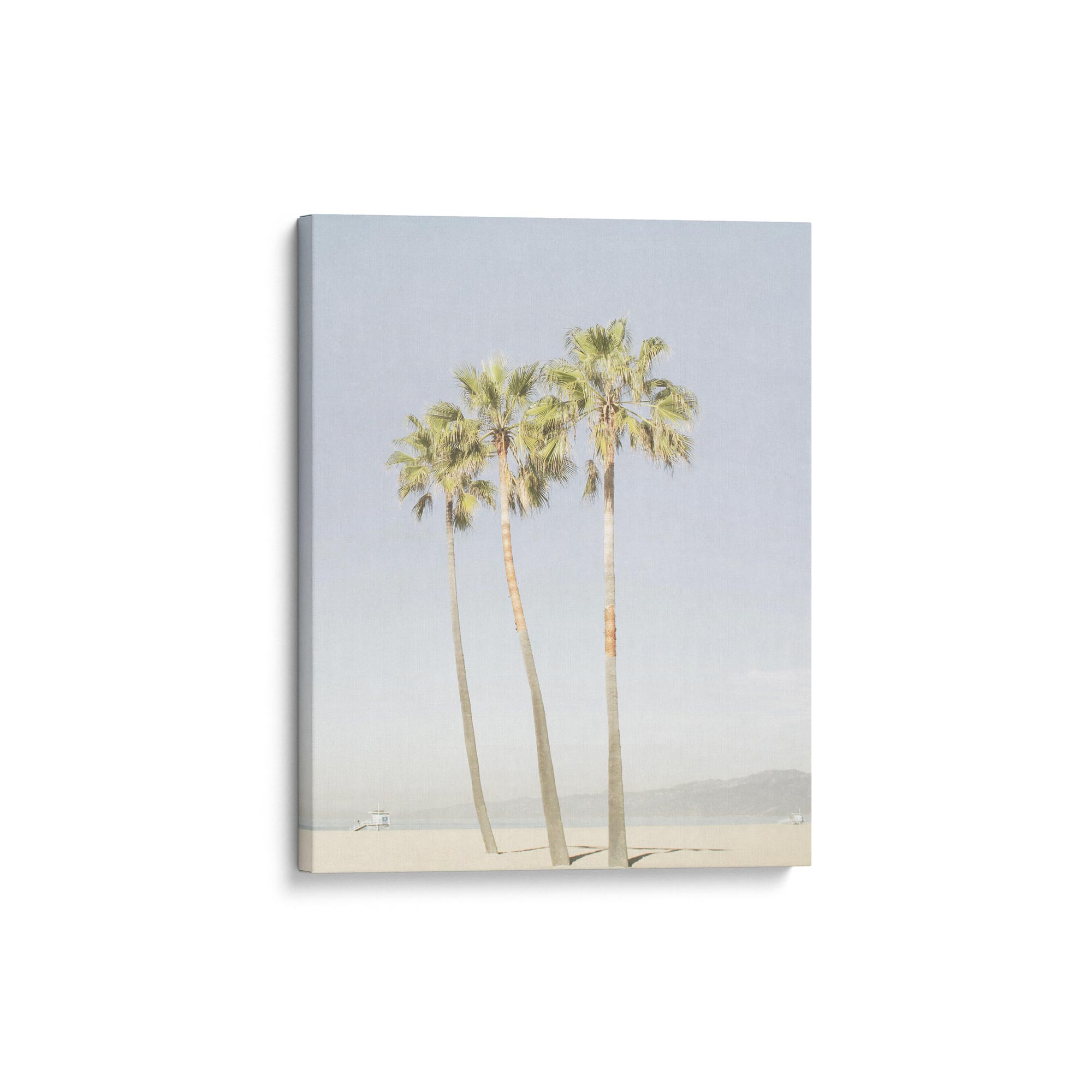 Offley Green&#39;s Set of 3 Canvas features a minimalist design with three tall palm trees on a sandy beach and a distant boat beneath a light blue sky. Made from FSC-certified materials, it&#39;s both beautiful and eco-friendly.