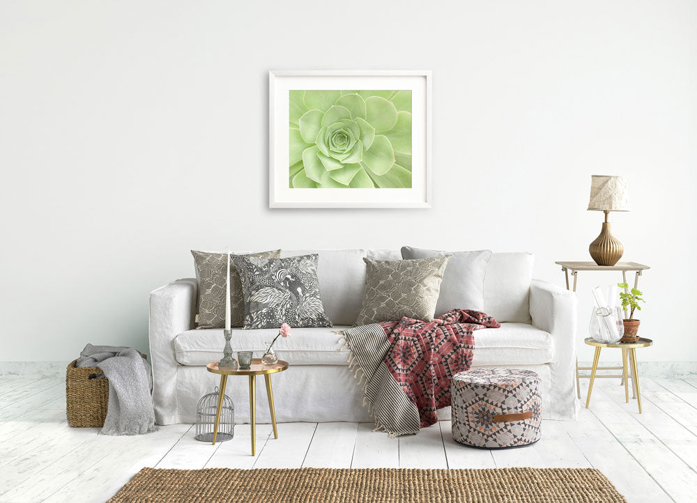 Framed print of a green succulent in a modern bohemian living room, filled with natural lighting.