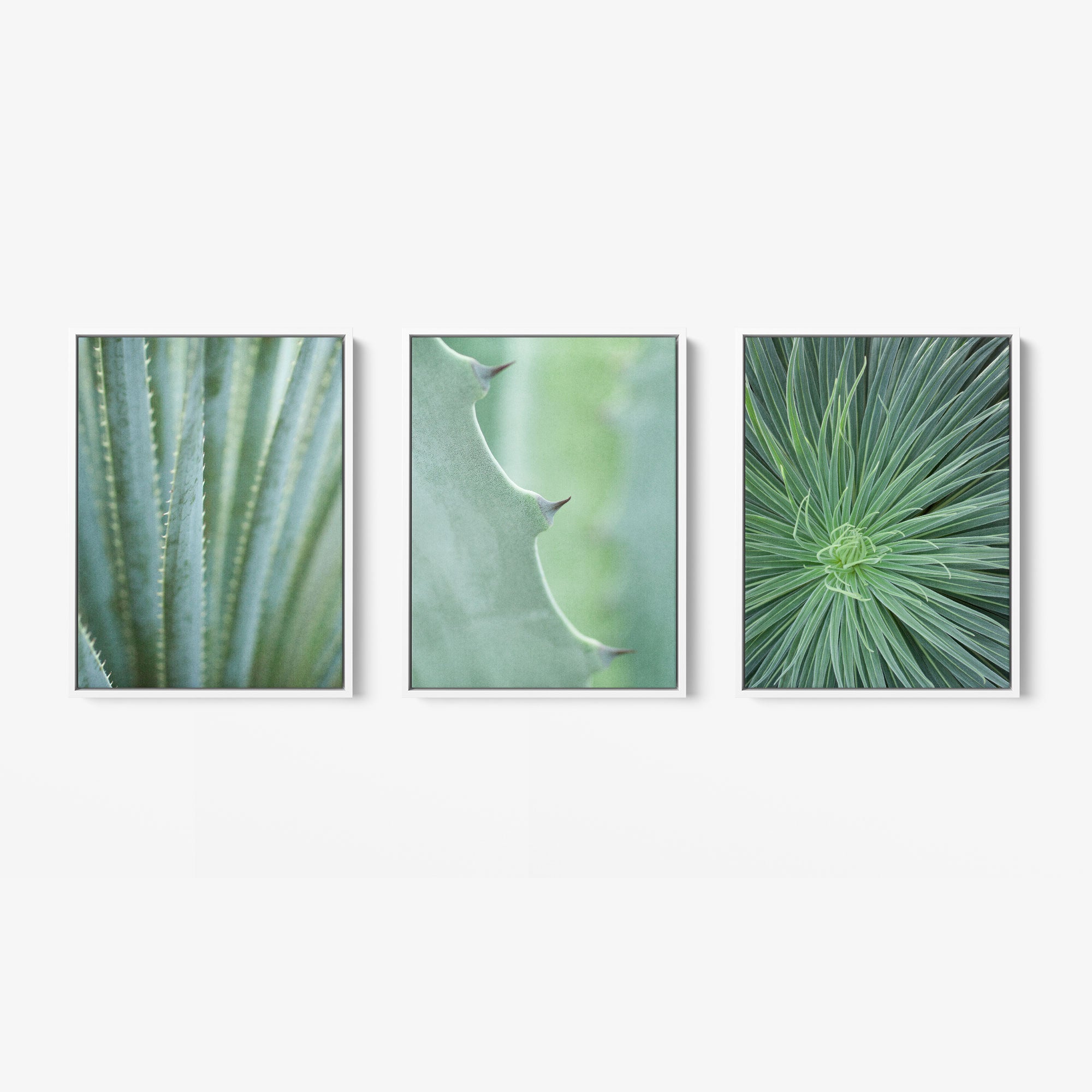 Set of 3 Framed Canvas (Multiple Print Choices)