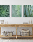 A minimalist room includes a wooden console table with wire baskets and pillows. Above it, Offley Green's Set of 3 Canvas prints feature botanical close-ups of green plant textures. The white wood walls and doors, made from FSC certified forests, enhance the calm atmosphere.