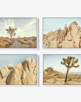 Introducing the Offley Green Set of 4 Framed Canvas prints, offering you a captivating selection from multiple combinations. This particular set features striking desert landscapes, highlighting Joshua trees and rugged rocky terrain under clear skies. The artwork is elegantly arranged in a 2x2 grid, each piece beautifully capturing different aspects of the desert environment.