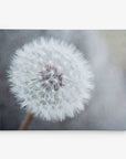 Close-up of a dandelion seed head against a soft, blurred background. The delicate white seeds form a spherical shape, radiating from the center with intricate details visible. Ideal for botanical prints on premium artist-grade canvas, the image exudes a calm, serene, and airy feeling. Introducing the 11x14 Botanical Canvas Print (Choose from 10+ Designs) by Offley Green.