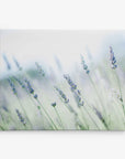 Close-up of lavender flowers in a field, with a soft focus and light pastel hues. The lavender stems and purple blooms stand out against a blurred background, evoking a sense of calm and tranquility, perfect for transforming into an 11x14 Botanical Canvas Print (Choose from 10+ Designs) from Offley Green.