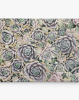 A close-up image of numerous lush succulents tightly clustered together. The succulents exhibit various shades of green, purple, and pink, creating a dense, richly textured pattern. Displayed on an Offley Green premium artist-grade canvas, this vibrant 11x14 Botanical Canvas Print (Choose from 10+ Designs) pops against the plain white background, highlighting the intricate details of the plants.