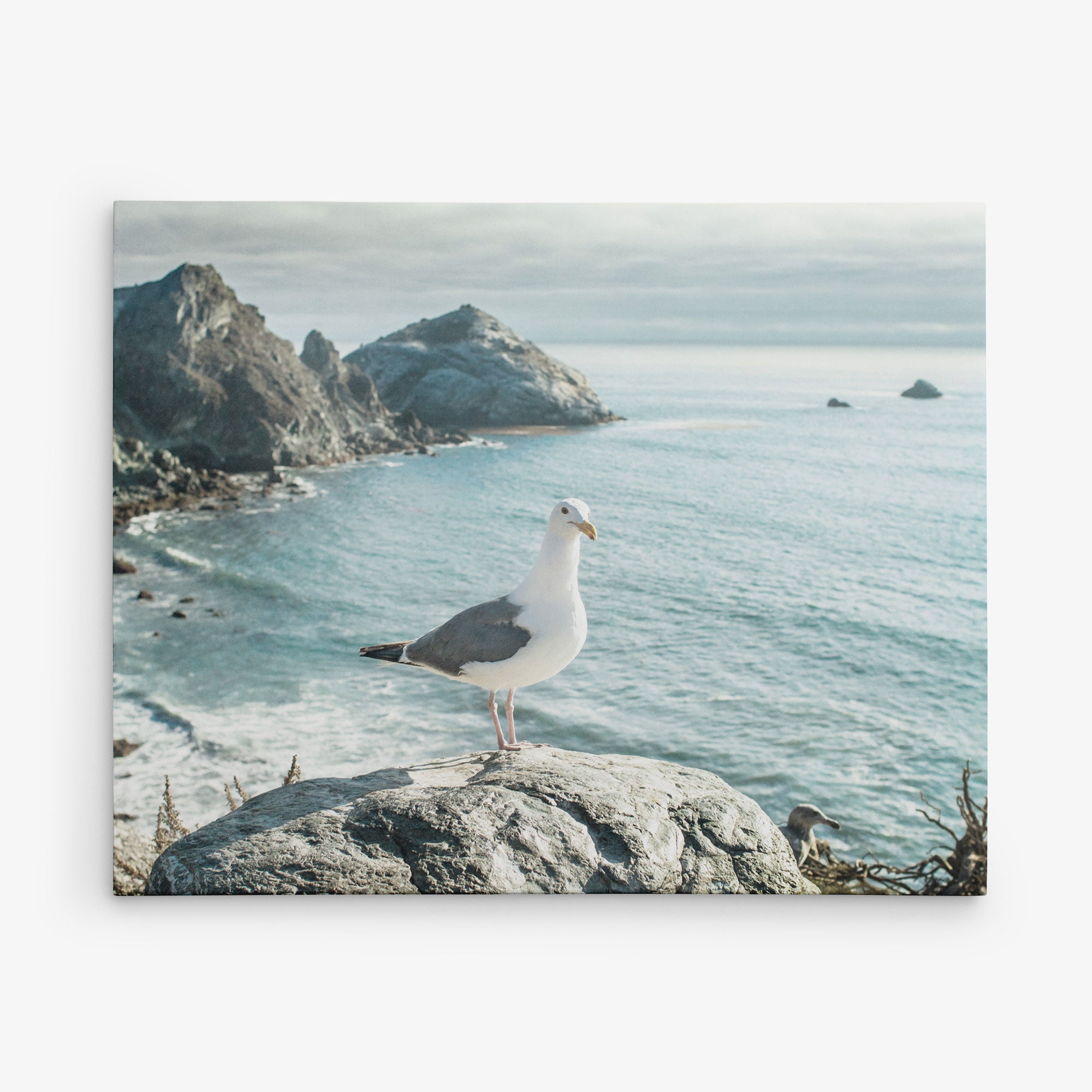 A seagull stands on a large rock overlooking a coastal landscape with rugged cliffs and a calm, expansive ocean under a partly cloudy sky. This picturesque scene, perfect for the Offley Green 11x14 Coastal Canvas Print (Choose from 10+ Designs), showcases the bird prominently centered with the scenic shoreline visible in the background.