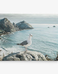 A lone seagull perched on a large rock overlooking a scenic coastal landscape. The background features a rocky coastline with jagged cliffs and a calm, expansive ocean under a partially cloudy sky, perfect for Offley Green's 24x30 Coastal Canvas Print (Choose from 10+ Designs), available in canvas gallery wrap from FSC certified forests.