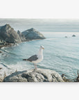 A seagull stands on a large rock overlooking a coastal landscape with rugged cliffs and a calm, expansive ocean under a partly cloudy sky. This picturesque scene, perfect for the Offley Green 11x14 Coastal Canvas Print (Choose from 10+ Designs), showcases the bird prominently centered with the scenic shoreline visible in the background.