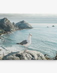 A lone seagull stands on a large rock overlooking a coastal landscape with rugged cliffs and calm ocean waves. The overcast sky adds a serene and tranquil mood to the scene, making it perfect for transforming into an 8x10 Coastal Canvas Print from Offley Green's wall art collection. Choose from over 10 beautiful designs to enhance your coastal decor.