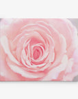 A close-up photograph of a delicate pink rose in full bloom against a white background. The soft-focus effect highlights the intricate, layered petals, creating a sense of depth and texture, making it perfect for the Offley Green 11x14 Botanical Canvas Print (Choose from 10+ Designs).