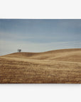 A solitary tree stands on a distant hill amid undulating golden-brown grassy fields under a pale blue sky. The landscape appears vast and tranquil with a sense of lonely beauty, perfect for an Offley Green 11x14 Rustic Canvas Print (Choose from 10+ Designs) to bring serene wall art into your space.