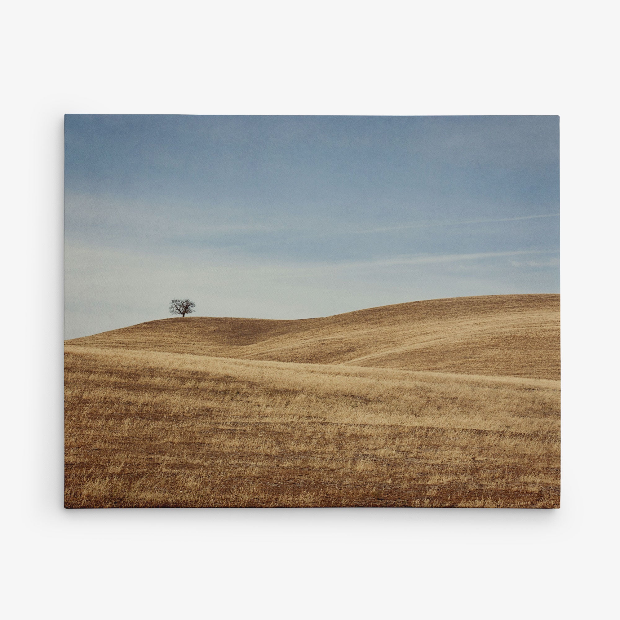 A solitary tree stands on a gently rolling, dry grassy hill under a clear blue sky. The landscape is vast and appears arid, with golden-brown grass covering the hills, creating a serene and minimalist scene—perfect for rustic wall art printed on Offley Green&#39;s 24x30 Rustic Canvas Print (Choose from 10+ Designs) or as a canvas gallery wrap.