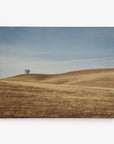 A solitary tree stands on a gently rolling, dry grassy hill under a clear blue sky. The landscape is vast and appears arid, with golden-brown grass covering the hills, creating a serene and minimalist scene—perfect for rustic wall art printed on Offley Green's 24x30 Rustic Canvas Print (Choose from 10+ Designs) or as a canvas gallery wrap.