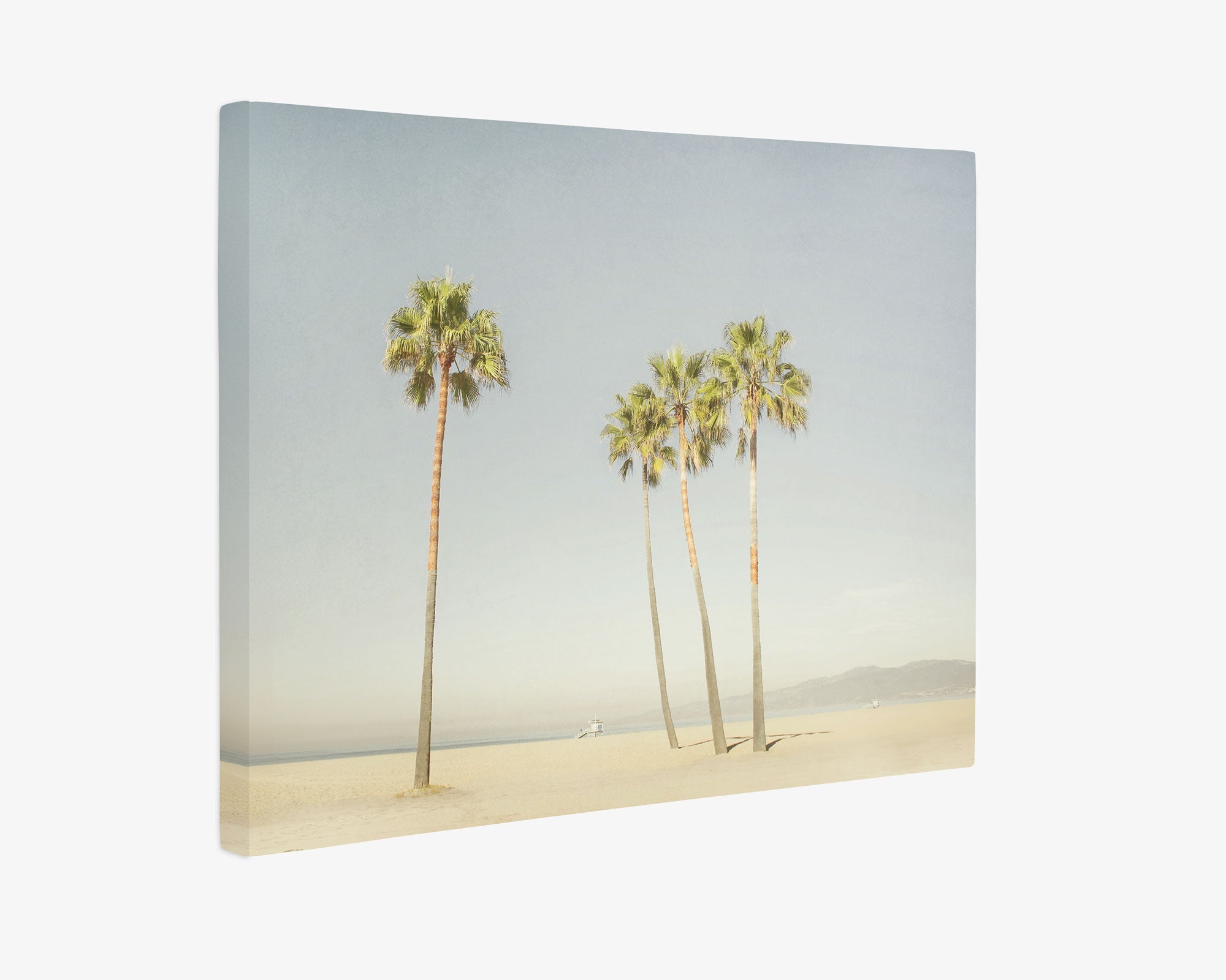 A framed photograph of a calm beach scene featuring four tall palm trees standing in the sand. The sky is clear, and the horizon meets the sea in the distance. This serene Offley Green 16x20 California Canvas Print (Choose from 10+ Designs) exudes a soft, tranquil tone, perfect for any wall art collection or canvas gallery wrap display.