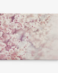 An 11x14 Botanical Canvas Print (Choose from 10+ Designs) by Offley Green featuring an ethereal close-up of pale pink cherry blossoms on delicate branches, set against a soft pastel background. Printed on premium artist-grade canvas, the blossoms create a dreamy and serene atmosphere with their gentle hues and intricate details.