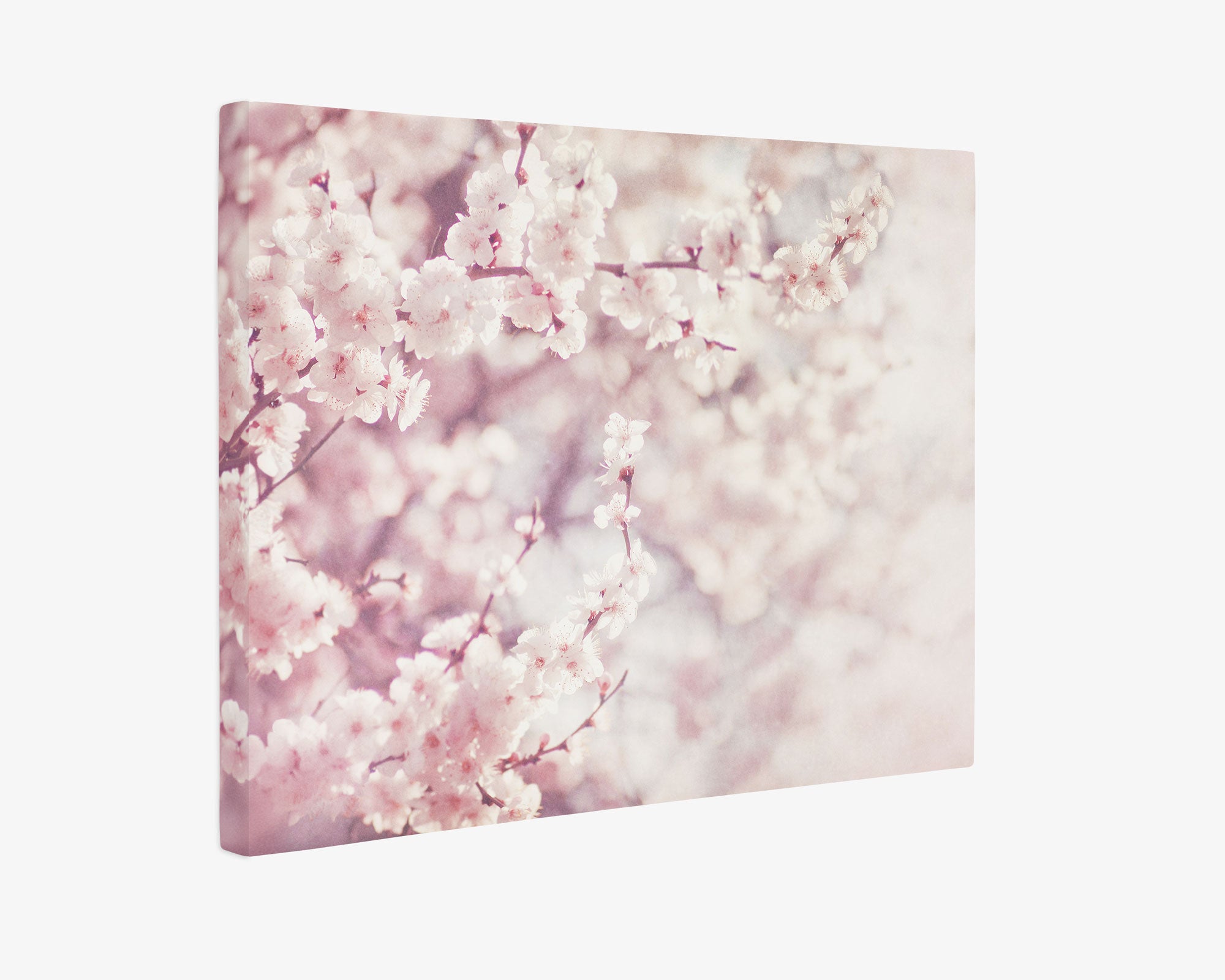 24X30 Botanical Canvas Print (Choose from 10+ Designs)