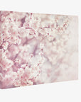 Offley Green's 30X40 Botanical Canvas Print (Choose from 10+ Designs) featuring a close-up of blossoming cherry flowers in soft pink tones. Printed on premium artist-grade canvas, the background is blurred, highlighting the delicate petals and subtle shades of pink and white, creating a dreamy, serene atmosphere.