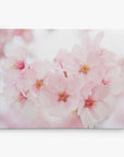 A close-up photograph of soft pink cherry blossoms in full bloom against a light background. The delicate petals and subtle details of the flowers are in sharp focus, creating a serene and gentle aesthetic, perfect for the Offley Green 8x10 Botanical Canvas Print (Choose from 10+ Designs).