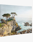 16x20 Coastal Canvas Print (Choose from 10+ Designs)