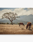 Two horses graze in a dry, grassy field with a single large tree in the background. Mountains and a partly cloudy sky provide the backdrop, creating a serene, natural scene perfect for Offley Green's 11x14 Rustic Canvas Print (Choose from 10+ Designs).