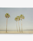 A serene beach scene with five tall palm trees standing on a sandy shore under a clear, pale blue sky. The beach is empty, highlighting the tranquility of the setting. In the distance, faint outlines of mountains are visible, perfect for an 11x14 California Canvas Print (Choose from 10+ Designs) by Offley Green.