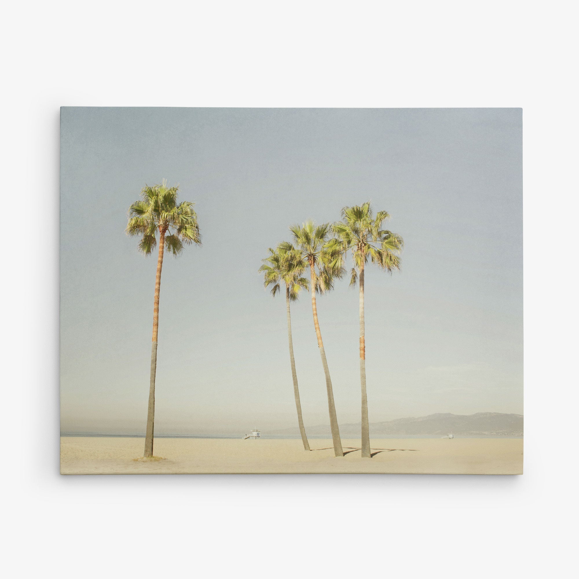 A serene beach scene featuring five tall palm trees standing on a sandy shore, spaced out against a clear sky. In the hazy background, subtle outlines of distant mountains and a minimalistic seascape can be seen—a perfect 24x30 California Canvas Print (Choose from 10+ Designs) from Offley Green.