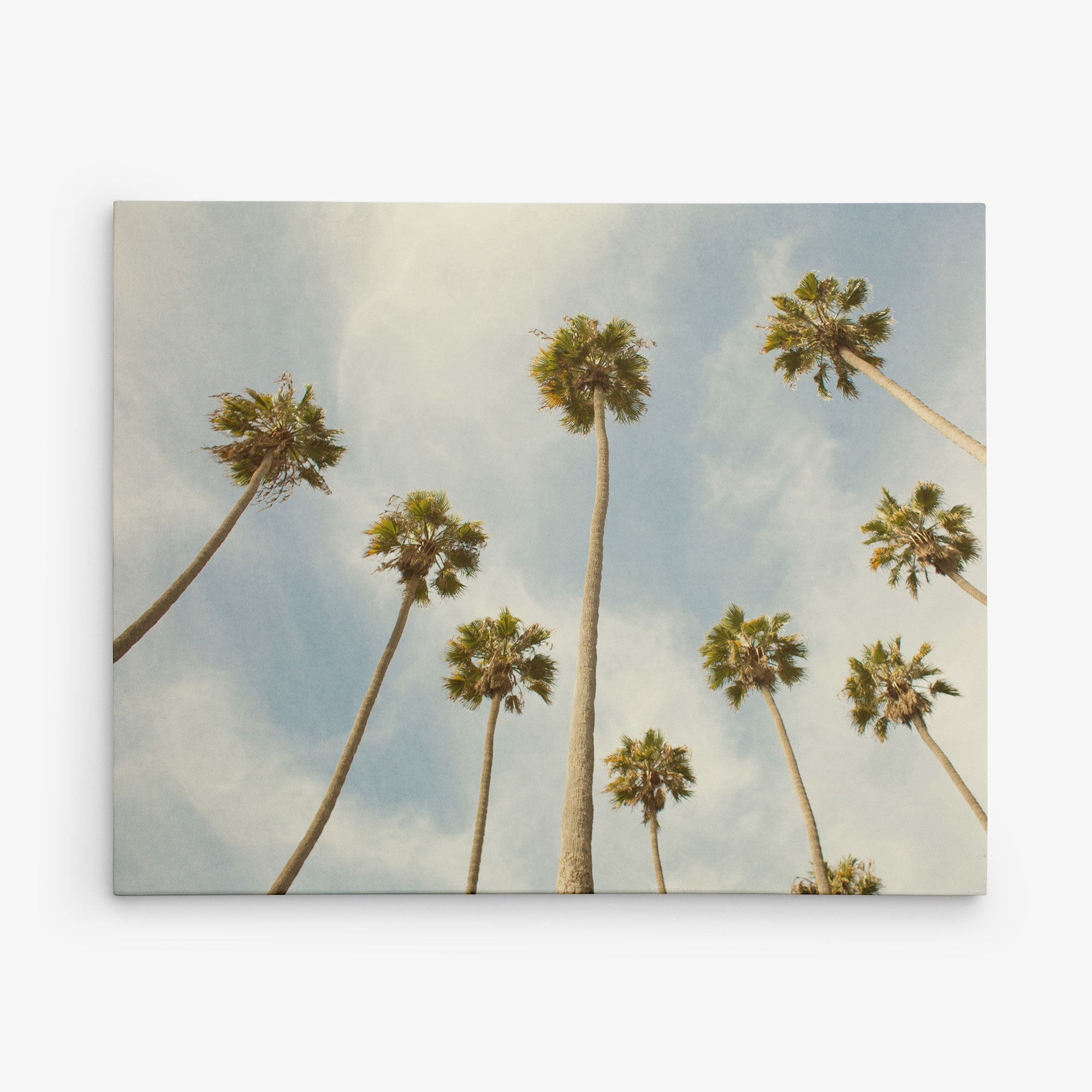 The Offley Green 8x10 California Canvas Print, featuring a view of tall palm trees with lush green fronds set against a pale blue sky with wispy clouds, captures the warm, slightly faded vintage essence of classic California prints. This gallery wrap wall art is available in over 10 designs to perfectly complement any space.