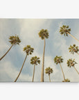 A photograph of tall palm trees taken from a low angle against a blue sky with wisps of clouds. The trees are evenly spaced, creating a symmetrical and serene composition, perfect for Offley Green's 24x30 California Canvas Print (Choose from 10+ Designs) or as wall art in a canvas gallery wrap.