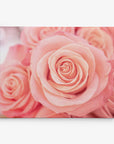 A close-up of several light pink roses in full bloom, with soft, delicate petals on premium artist-grade canvas. The image focuses primarily on the central rose, showcasing intricate details of the flower's layers, with other roses blurred in the background for a stunning 11x14 Botanical Canvas Print (Choose from 10+ Designs) by Offley Green.