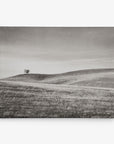 A black-and-white photograph showcasing a solitary tree standing on a gently rolling hill. The landscape, perfect for Offley Green's 11x14 Rustic Canvas Print (Choose from 10+ Designs) and wall art, is made up of soft grass and subtle lines formed by the undulating terrain under an overcast sky. The scene evokes a sense of tranquility and isolation.