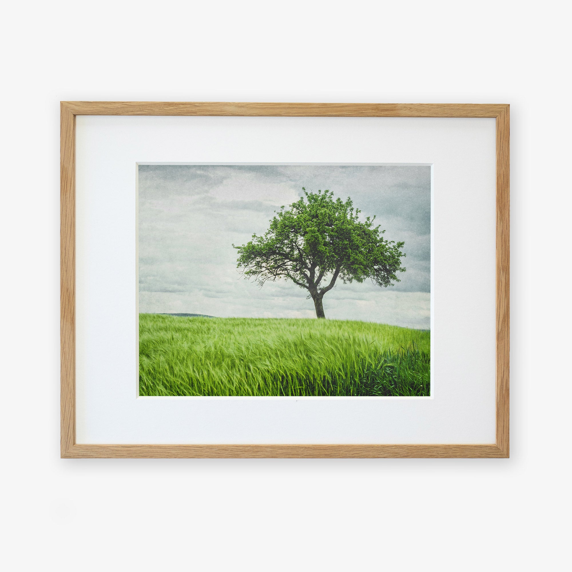 Framed photograph of a solitary tree in the center of a lush, green field under storm clouds. The wooden frame has a natural finish, and the image, printed on archival photographic paper, is matted in white, enhancing the serene landscape. This is the Rustic Countryside Print, 'Tree in a Field' by Offley Green.