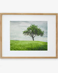 Framed photograph of a solitary tree in the center of a lush, green field under storm clouds. The wooden frame has a natural finish, and the image, printed on archival photographic paper, is matted in white, enhancing the serene landscape. This is the Rustic Countryside Print, 'Tree in a Field' by Offley Green.