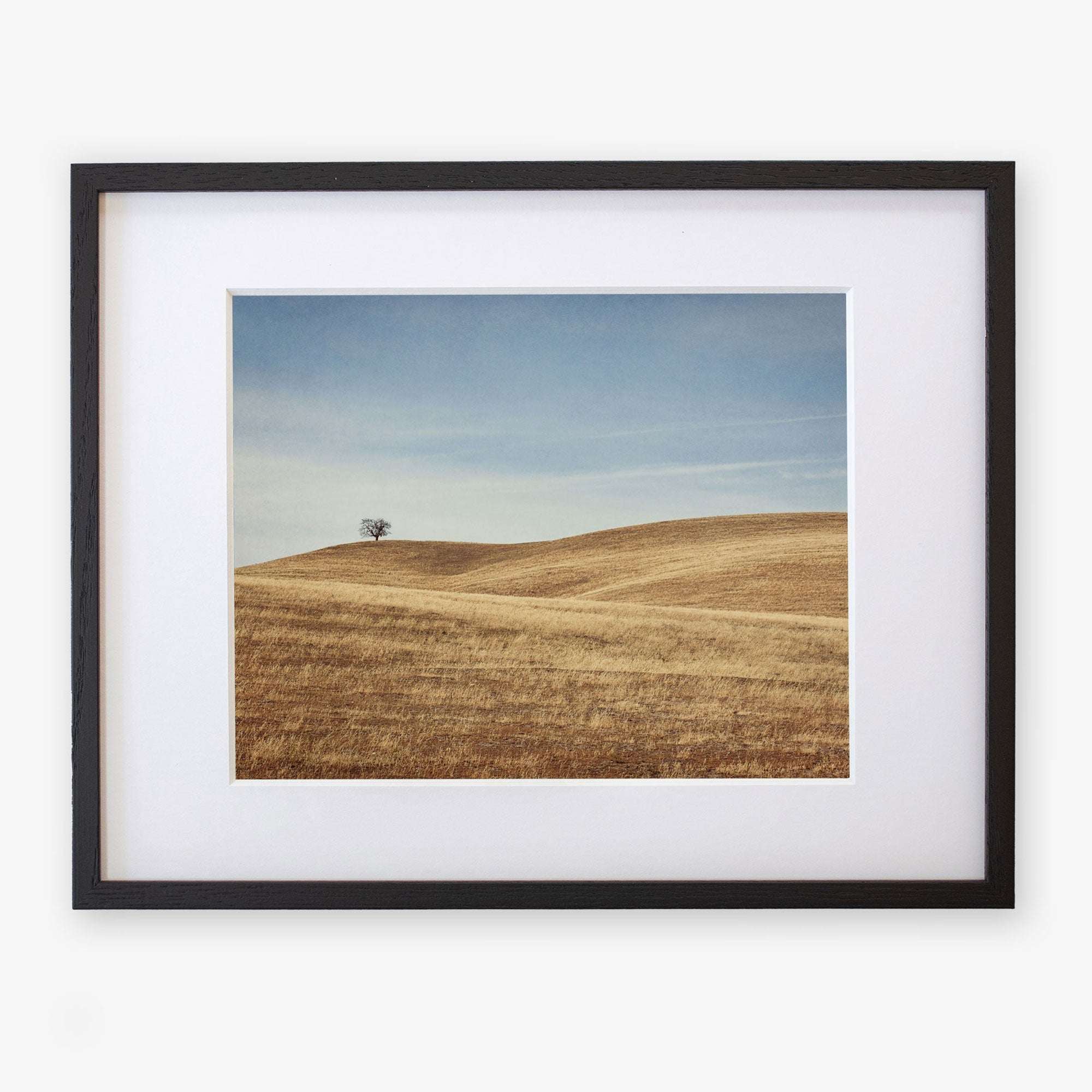 A framed photograph of a lone tree on a gently rolling, golden-brown grassy hill in the Santa Ynez Valley under a clear sky. The frame is black with a white mat. Offley Green&#39;s California Central Coast Landscape Print &#39;Golden Ynez&#39;.