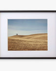 A framed photograph of a lone tree on a gently rolling, golden-brown grassy hill in the Santa Ynez Valley under a clear sky. The frame is black with a white mat. Offley Green's California Central Coast Landscape Print 'Golden Ynez'.