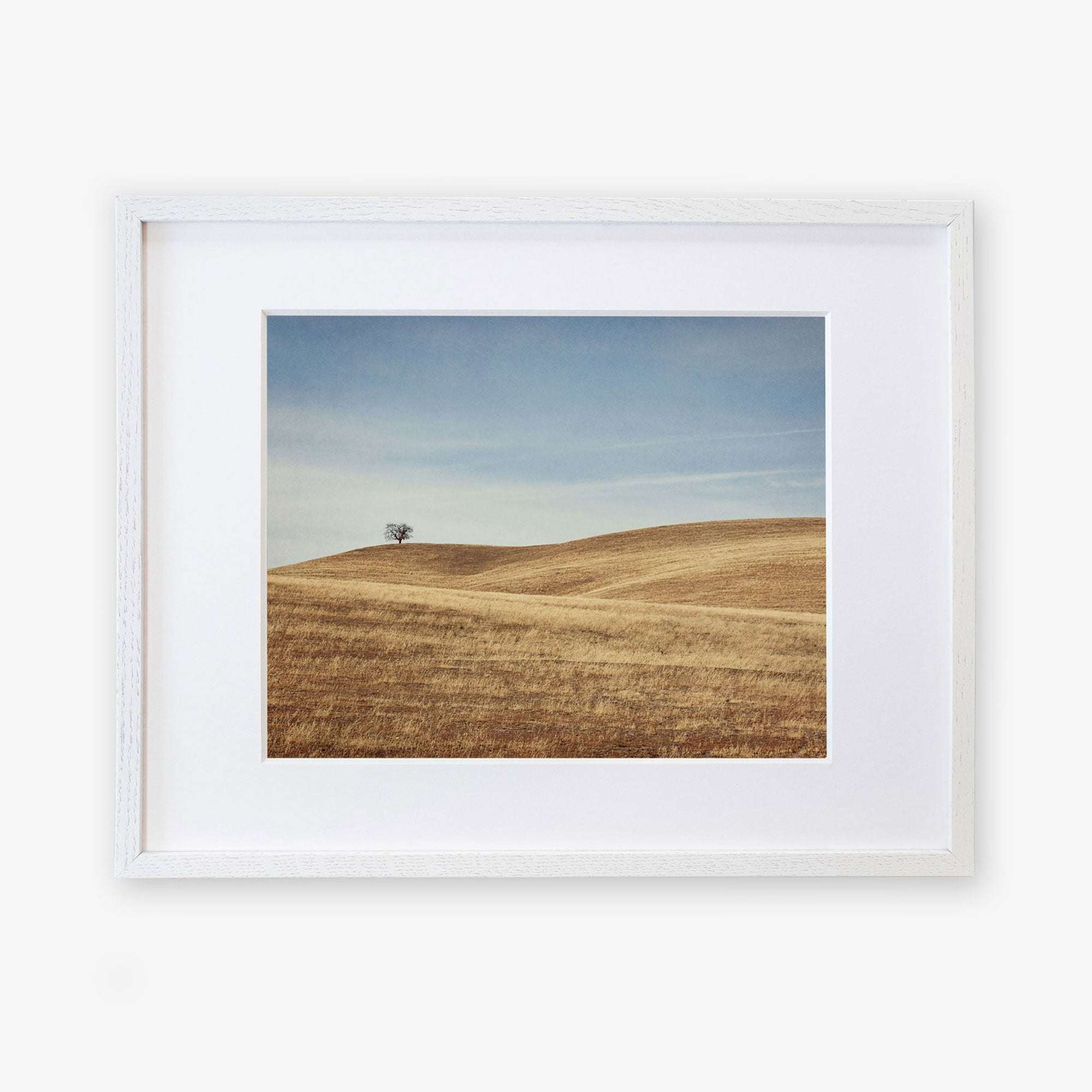 A framed photograph depicting a serene landscape in Santa Ynez Valley with rolling hills covered in dry grass and a solitary tree under a clear sky - Offley Green&#39;s California Central Coast Landscape Print &#39;Golden Ynez&#39;.