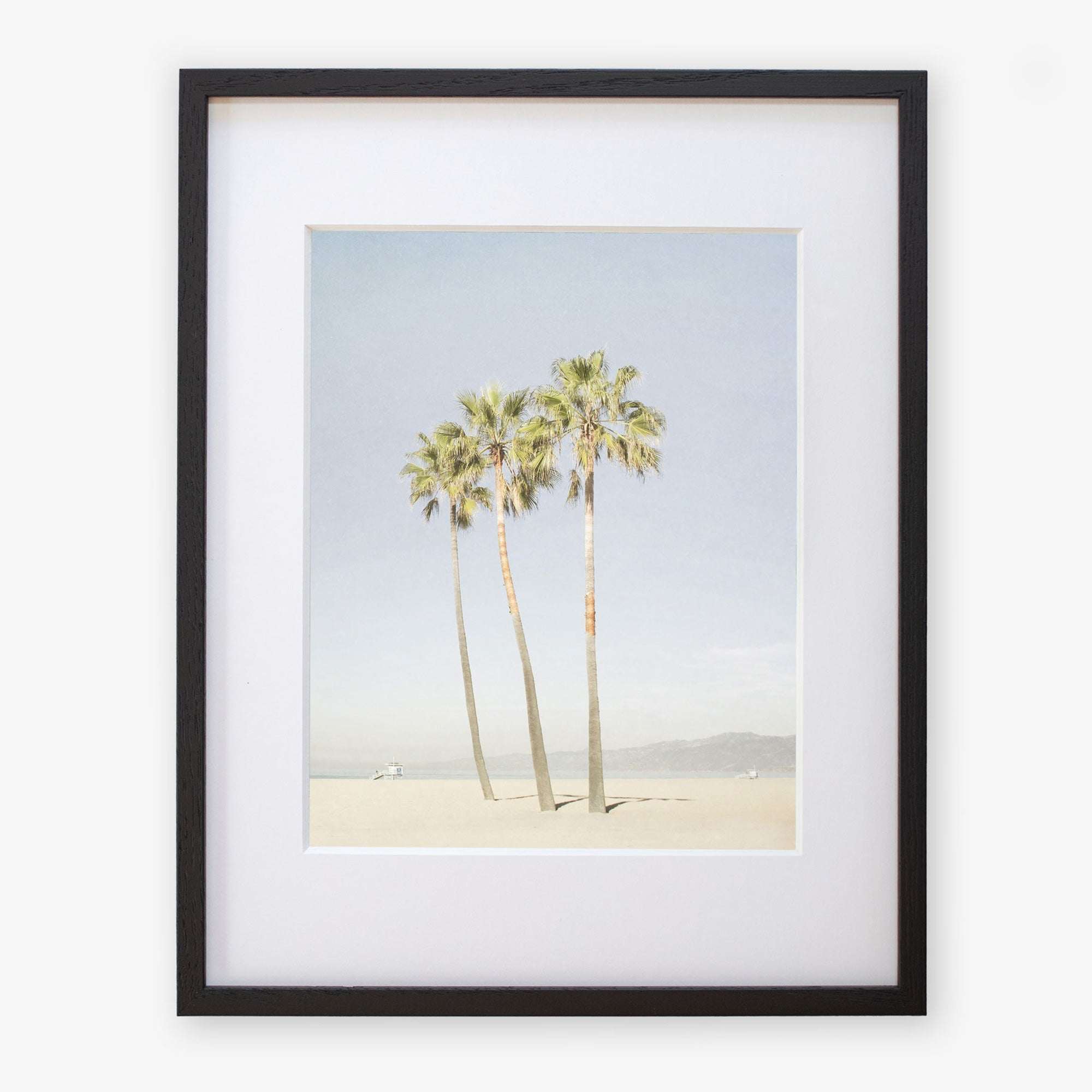 A framed photograph of the California Venice Beach Print &#39;Three Palms&#39; by Offley Green, depicting three tall palm trees on Venice Beach under a clear sky, displayed against a white background.