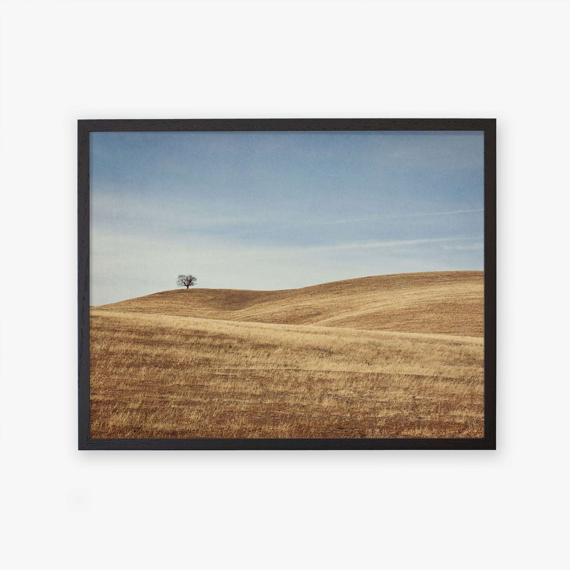 Unframed photograph of a serene landscape featuring a solitary tree on a gently rolling golden hill in Santa Ynez Valley, under a clear blue sky. (California Central Coast Landscape Print &#39;Golden Ynez&#39; by Offley Green)