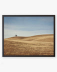 Unframed photograph of a serene landscape featuring a solitary tree on a gently rolling golden hill in Santa Ynez Valley, under a clear blue sky. (California Central Coast Landscape Print 'Golden Ynez' by Offley Green)