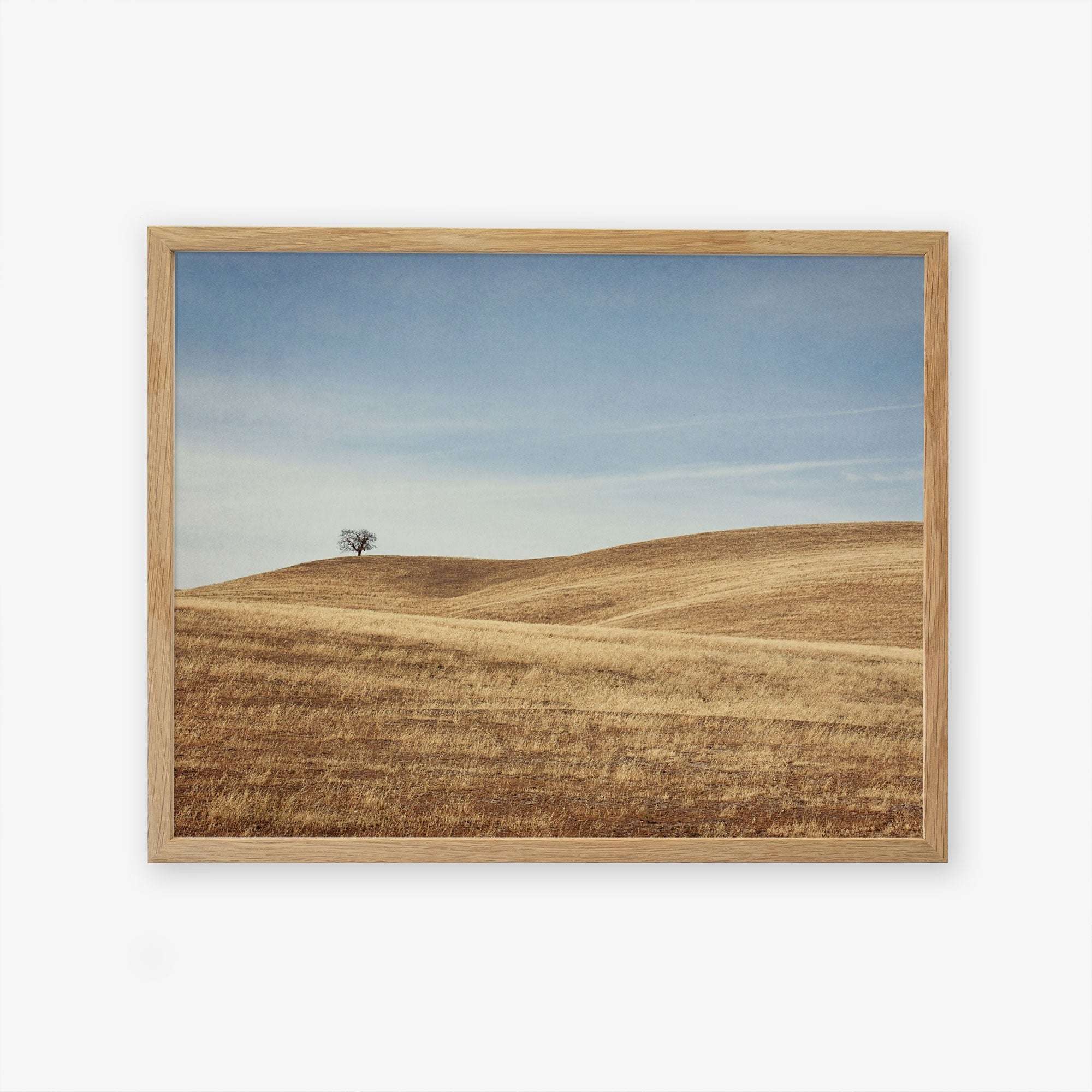 A framed artwork featuring the California Central Coast Landscape Print &#39;Golden Ynez&#39; by Offley Green, with a lone tree on a gently rolling, golden-hued hill under a clear blue sky. The scene invokes a sense of calm and tranquility.