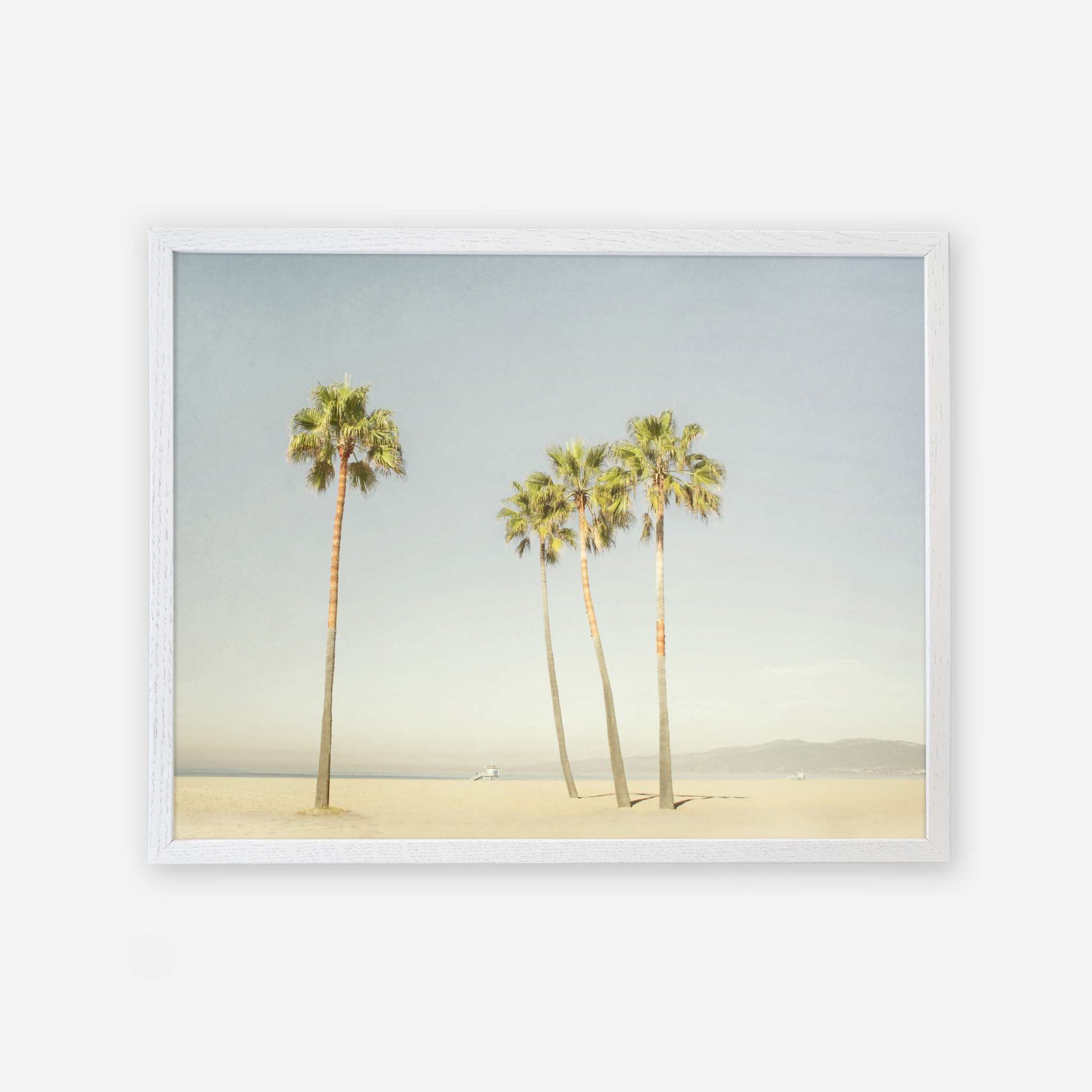 Framed aerial photograph of four palm trees on a sandy beach with a hazy sky and distant hills, printed on archival photographic paper, evoking a serene, tropical atmosphere.
Product Name: California Beach Palm Tree Print, &#39;Boardwalk Palms&#39;
Brand Name: Offley Green