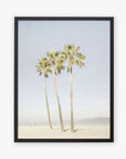 An unframed artwork depicting three tall palm trees on a sandy beach with clear skies and distant hills, creating a serene and tropical landscape - Offley Green's California Venice Beach Print, 'Three Palms'