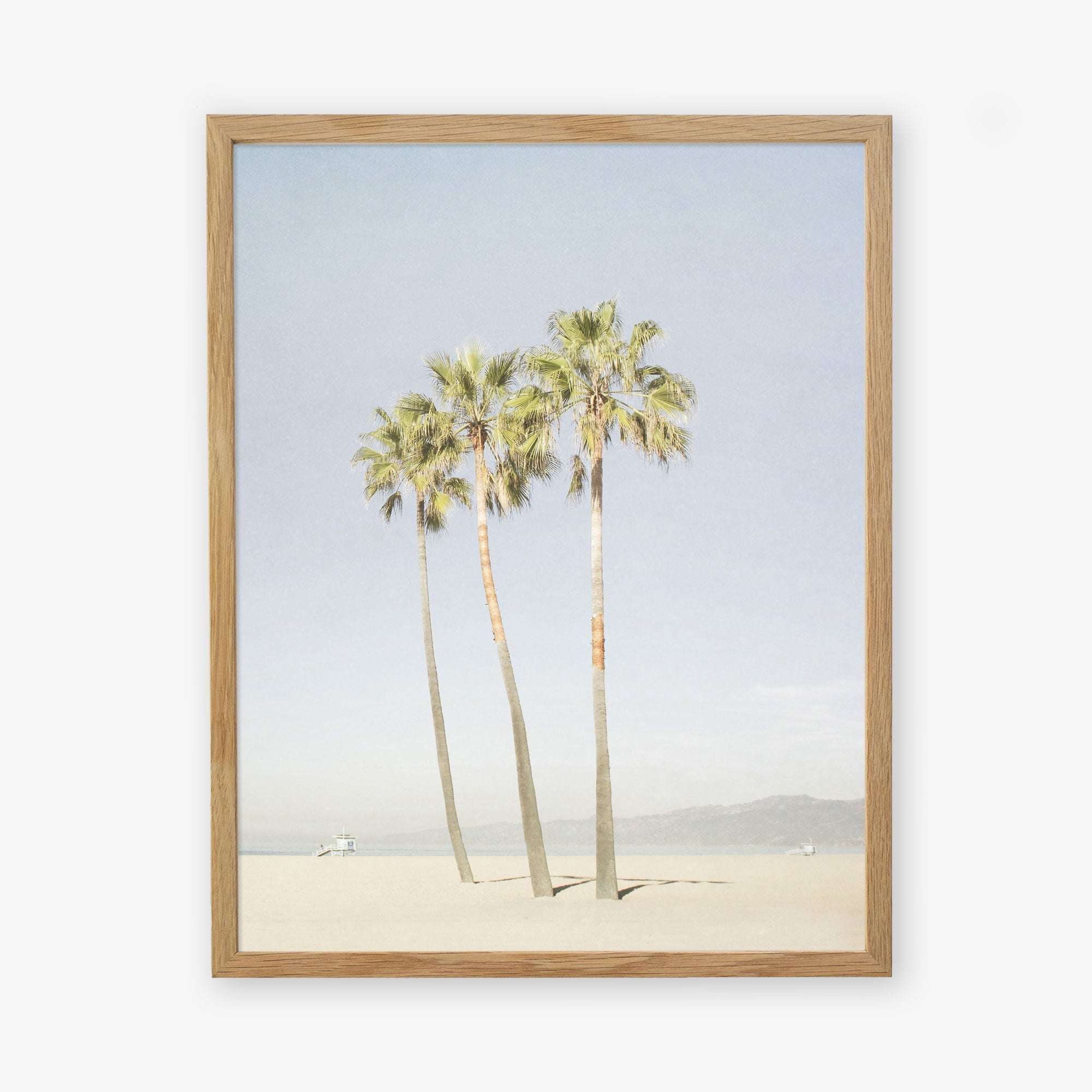 An unframed Offley Green California Venice Beach Print, &#39;Three Palms&#39; featuring four tall palm trees against a clear sky, with a hint of distant mountains and a tranquil sea in the background.