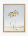 An unframed Offley Green California Venice Beach Print, 'Three Palms' featuring four tall palm trees against a clear sky, with a hint of distant mountains and a tranquil sea in the background.