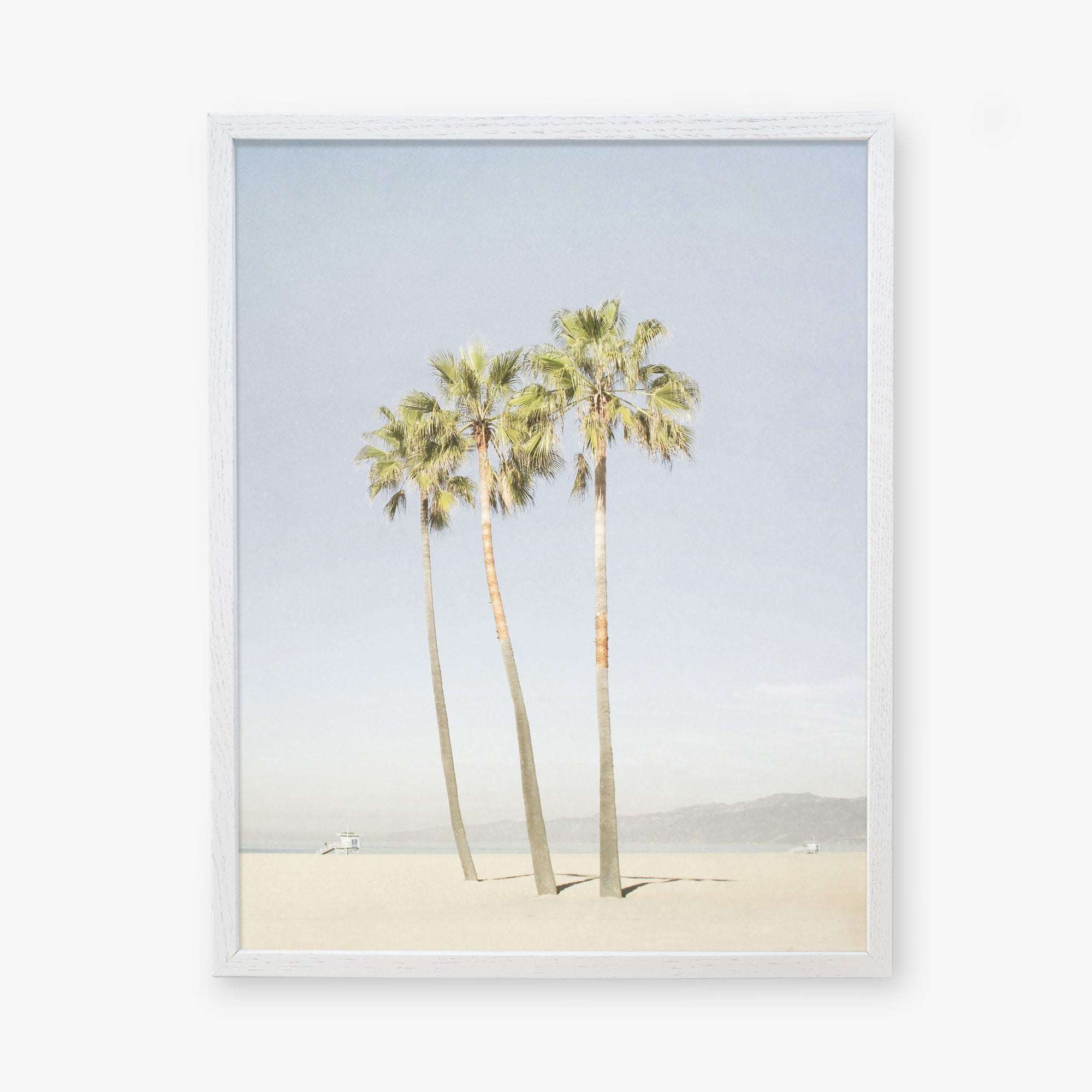A framed artwork featuring a serene beach scene with four tall palm trees against a clear sky, with distant hills and a subtle hint of a sailboat on the horizon, captured on archival photographic paper. This is the Offley Green California Venice Beach Print, &#39;Three Palms&#39;.