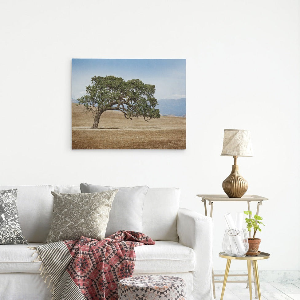 A minimalist living room features a white sofa adorned with patterned cushions and a red throw blanket. A wooden side table with a lamp and potted plant sits beside it. On the wall hangs an Offley Green 24x30 Rustic Canvas Print (Choose from 10+ Designs), a landscape photograph of a lone tree in a dry field with distant mountains, printed on premium artist-grade canvas.